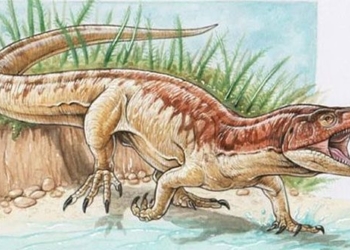 discovery of bengal claw monster similar to t rex and crocodile in india 130708