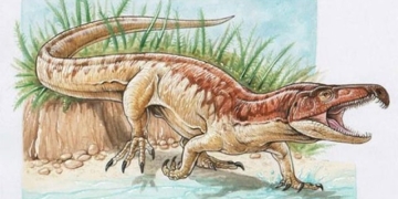 discovery of bengal claw monster similar to t rex and crocodile in india 130708