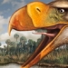 discovery of bird eating human sized meat in south america 130291
