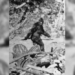 discovery of creatures with long hair in the mysterious northern mountain valley vanishing for nearly 150 years in america 130405