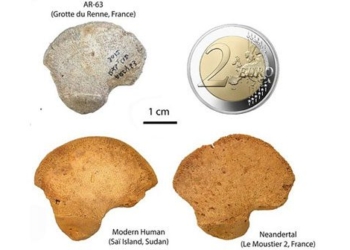 discovery of human remains may be related to another species in france 129375