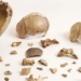 discovery of rituals in europe 15000 years ago 130278