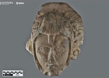 discovery of the maya warrior figurine found on head 130992