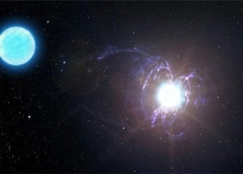 discovery of the most powerful star with self gravity in the universe 129421