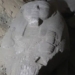 discovery of the tomb of the great general under king ramses ii 123384