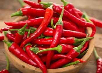 do not put directly in the fridge how to preserve fresh peppers like new for up to six months 131198