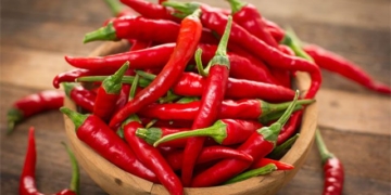 do not put directly in the fridge how to preserve fresh peppers like new for up to six months 131198