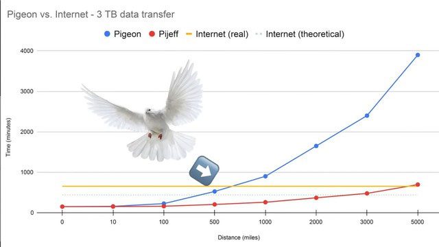Graph comparing the time and distance of pigeons
