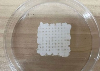 doctor vietnam creates artificial skeleton from shrimp shells and sea snakes 129602
