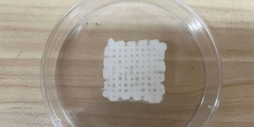 doctor vietnam creates artificial skeleton from shrimp shells and sea snakes 129602