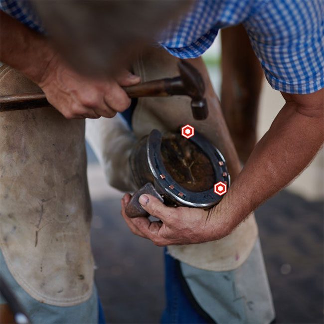 Horseshoes also protect the horse's hooves