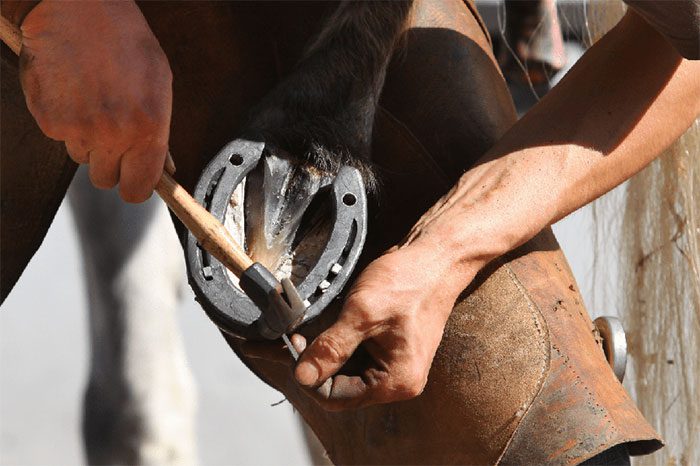 Horseshoes perform important functions