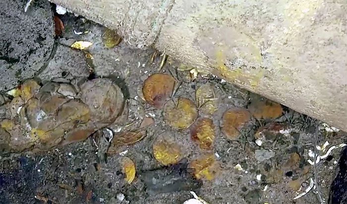 Gold coins scattered around.