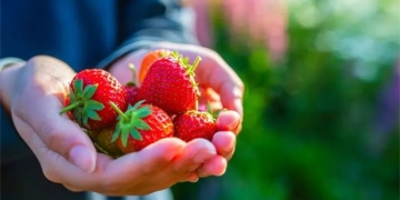 drink another cup of juice from these 5 fruits and vegetables every day to reduce 70 risk of cancer 131204