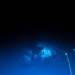 dumbo sea turtle video dangerous encounter under the ocean 130002