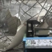 earthquake 6 7 magnitude south philippines many buildings damaged 131073