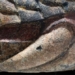 earthquake creates 1 3 ton artifact discovered at university 130541
