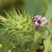 eating poisonous fish symptoms and treatment 129396