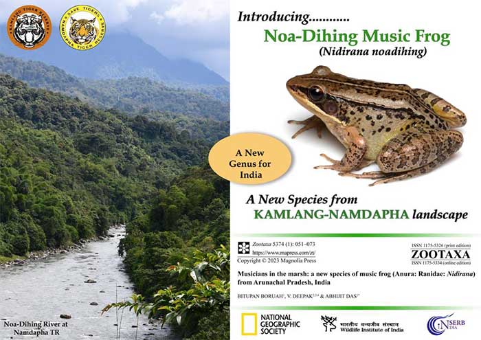 The frog with a unique call has been found in northeastern India.
