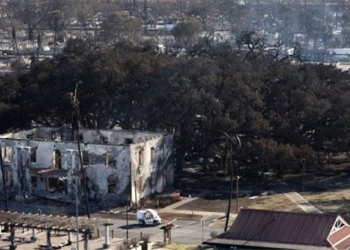 efforts to save 150 year old tree after hawaii wildfire 129321