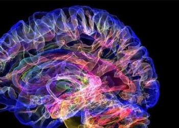 electrical stimulation therapy help 5 people recover after brain injury 131492