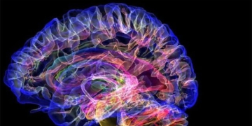 electrical stimulation therapy help 5 people recover after brain injury 131492