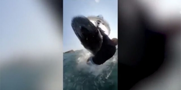 elephant surfing flying out of water ha guc athlete round 130690