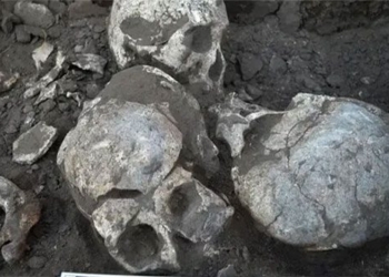 exercise the 4 100 years old in china and the secret of a horrific murder case 131241