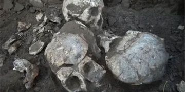 exercise the 4 100 years old in china and the secret of a horrific murder case 131241