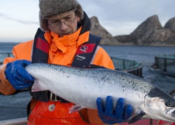 explore salmon farming technology in norway 130589