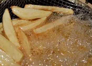 fast food processed food causes cancer in humans how 130809