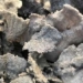 finding substances that cause cancer in two types of mice 130953