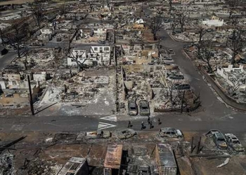 fire destroying forest in hawaii lahaina covers the scene of the devastation 129285