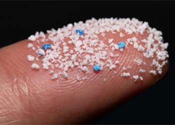first detection of plastic particles in human blood 119586