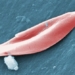 first genetic editing drug approved in the world 131082