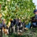 first training ai human wine to trace origin 131377