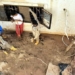 floods in libya could kill 20000 people 129803