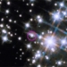 flowering space strong enough to shake the earth 131020
