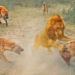 fly rescue species out of the lion 129606