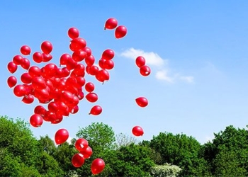 flying toy extremely dangerous rarely seen 129644