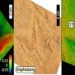 foot of the bird mystery challenge of scientific understanding 131373