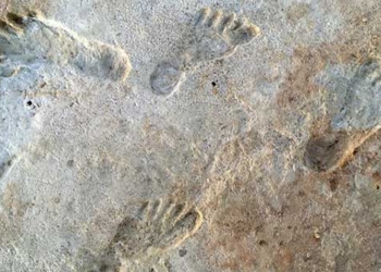 found first human traces in america 23000 years ago 130229