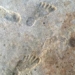 found first human traces in america 23000 years ago 130229