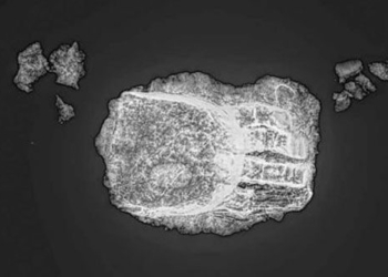 found two ancient columns near gold silver 130693