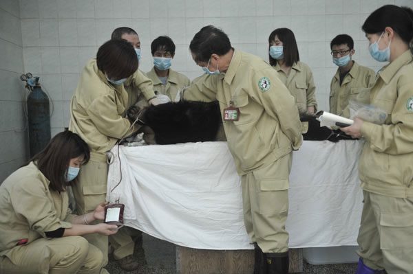 Panda antigens have also been found to have potential in anti-cancer research.