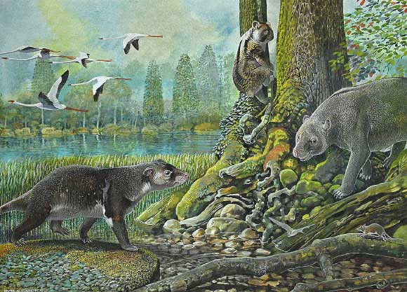 Reconstruction of a prehistoric koala.