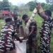 giant snakehead fish caught in 4 6m long video 131052