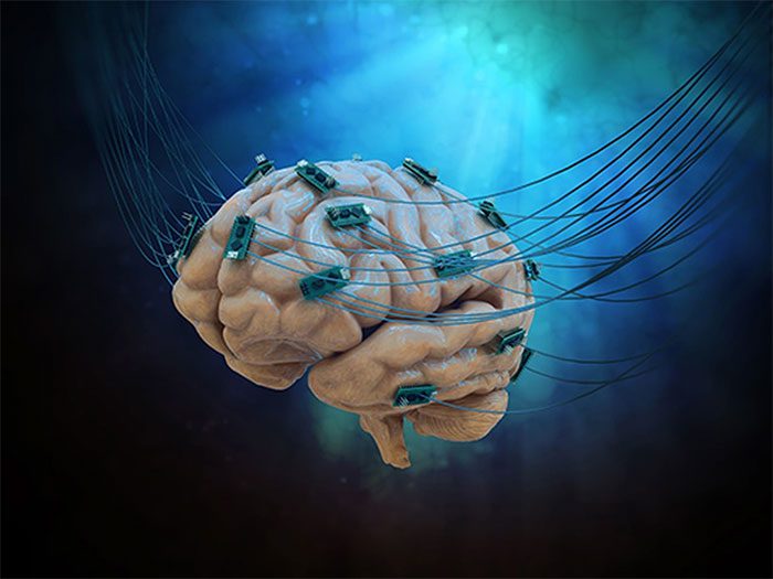 Researchers discovered surprising intelligence in mice through the BMI protocol