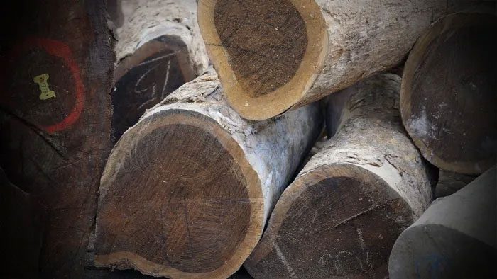 Lignum Vitae wood