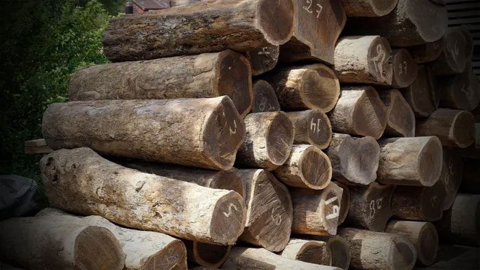 The color of the wood tends to darken over time.